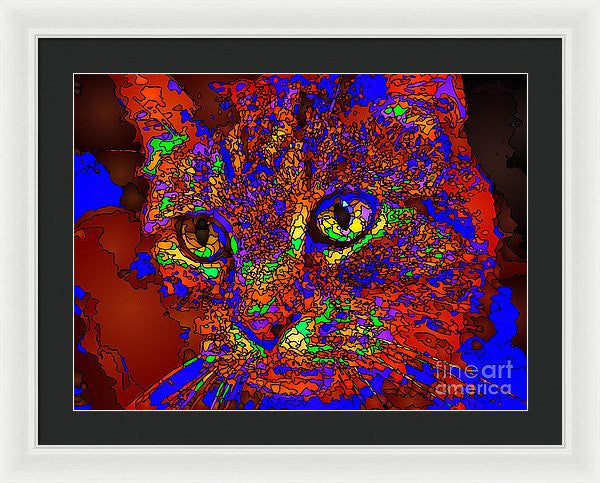 Framed Print - Looking For An Owner. Pet Series