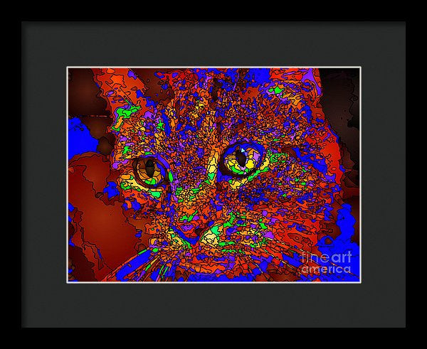 Framed Print - Looking For An Owner. Pet Series