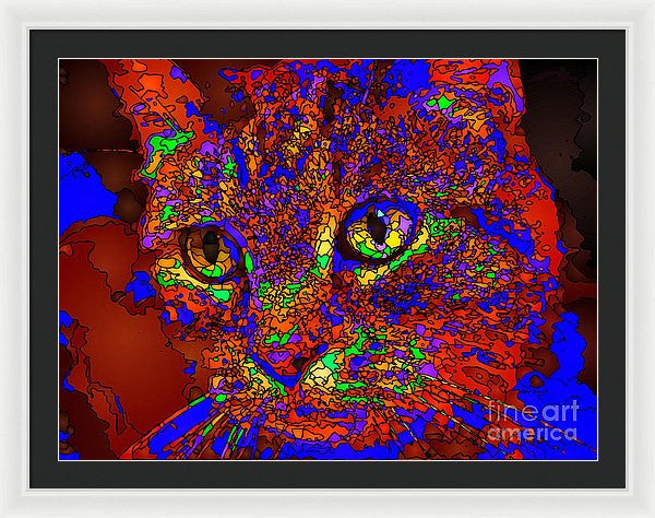 Framed Print - Looking For An Owner. Pet Series