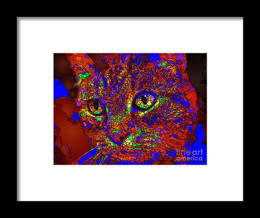 Framed Print - Looking For An Owner. Pet Series