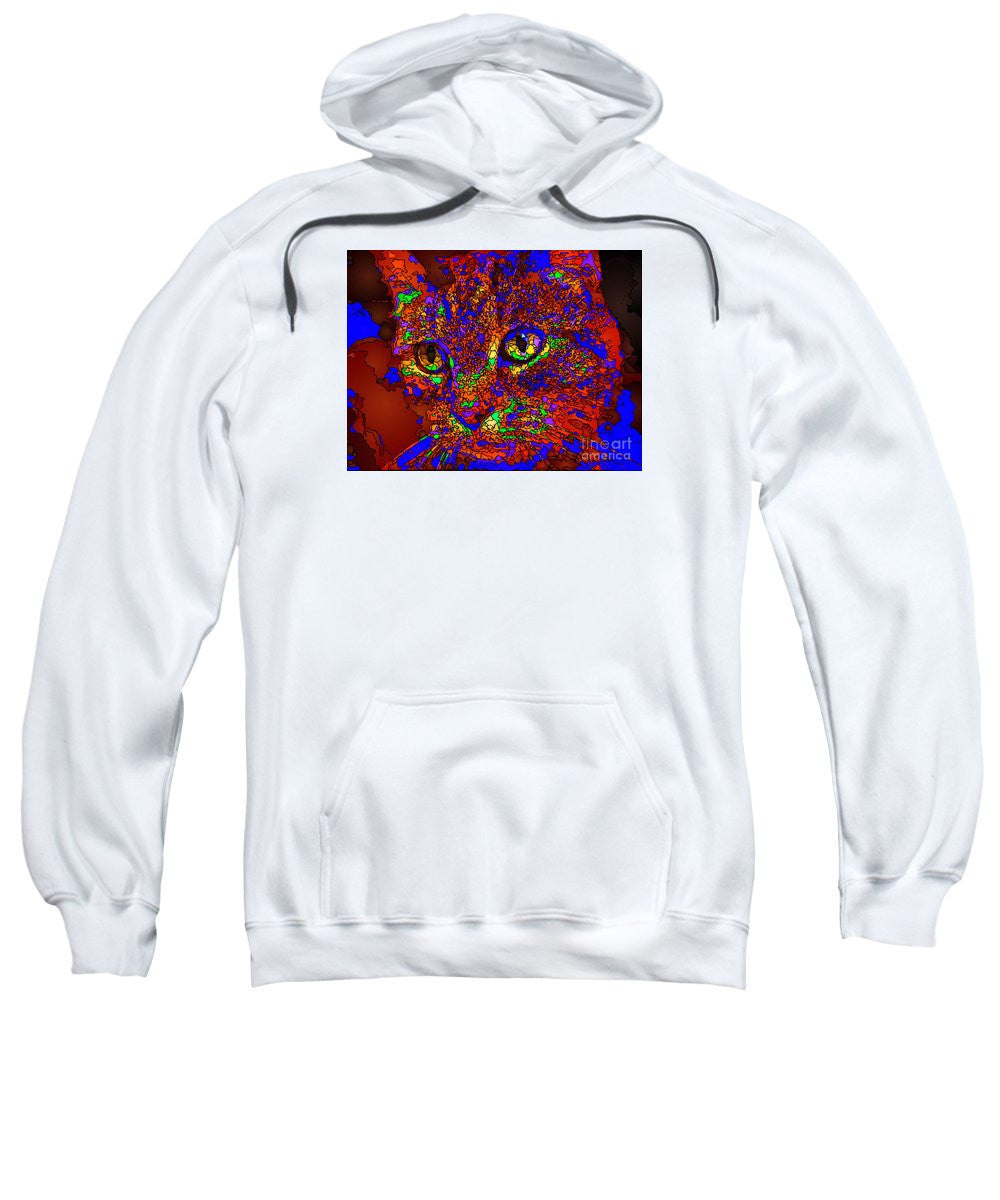 Sweatshirt - Looking For An Owner. Pet Series