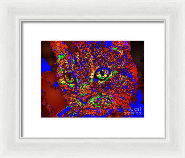 Framed Print - Looking For An Owner. Pet Series