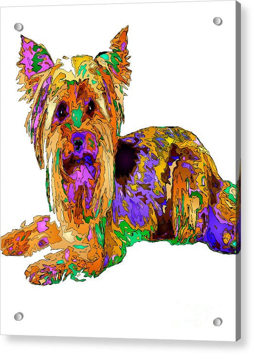 Acrylic Print - Minnie We Miss You. Pet Series