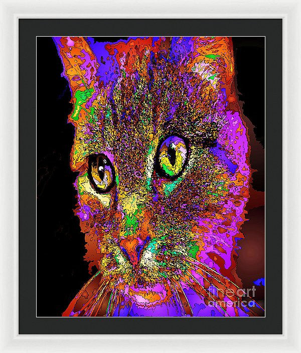 Framed Print - Muffin The Cat. Pet Series
