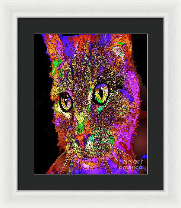 Framed Print - Muffin The Cat. Pet Series