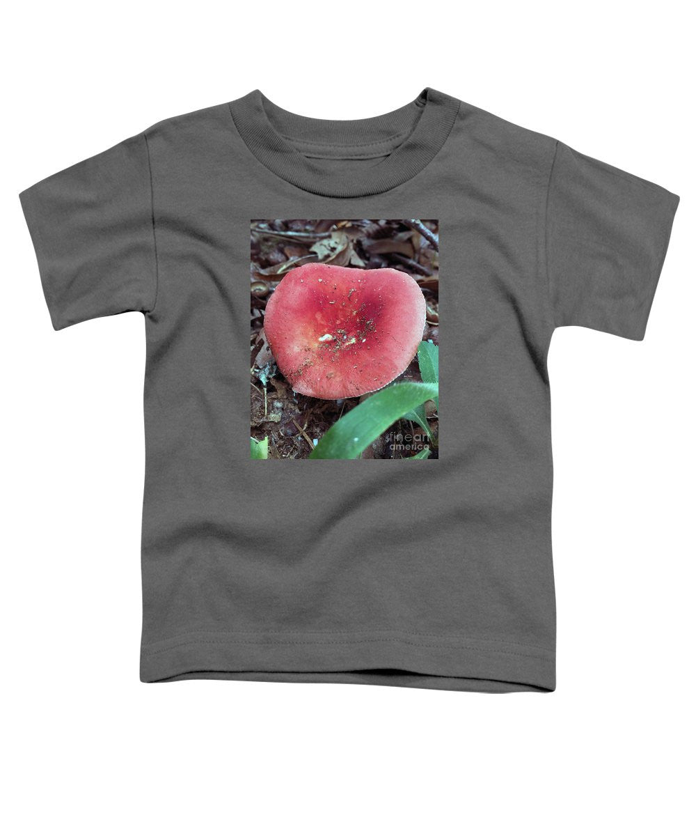 T-shirt pour tout-petits – Champignons dans les bois