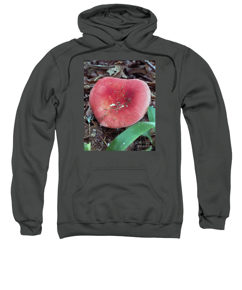 Sweat-shirt - Champignons dans les bois