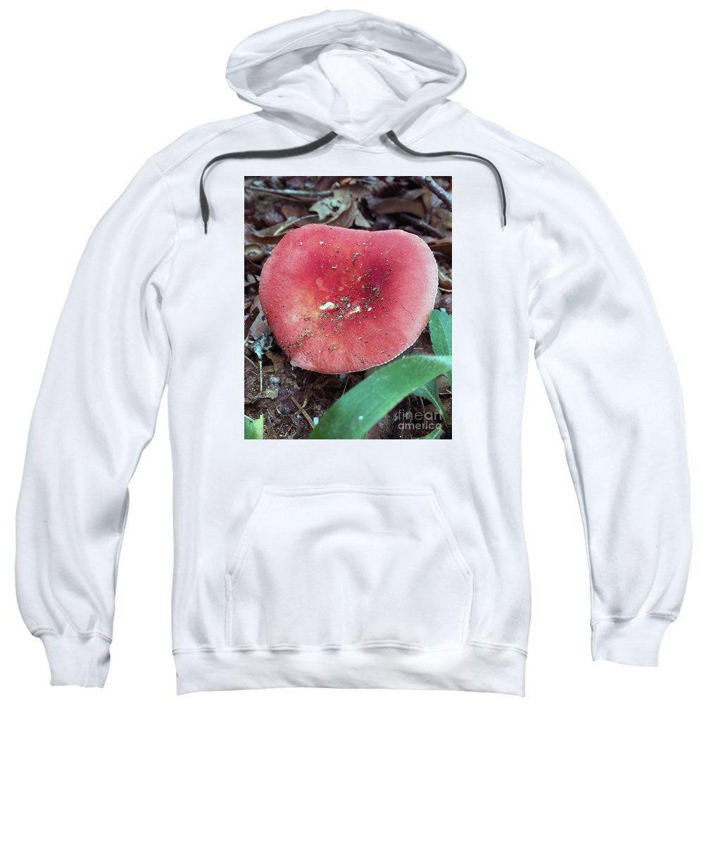 Sweat-shirt - Champignons dans les bois