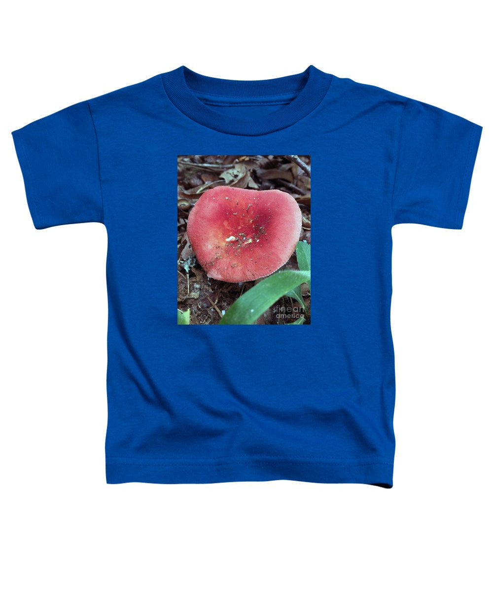 T-shirt pour tout-petits – Champignons dans les bois