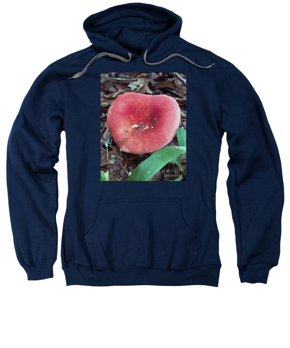 Sweat-shirt - Champignons dans les bois