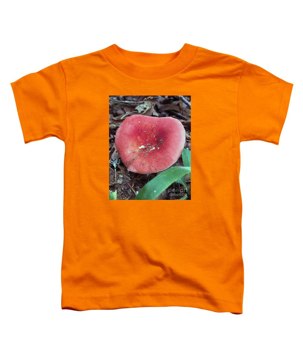 T-shirt pour tout-petits – Champignons dans les bois