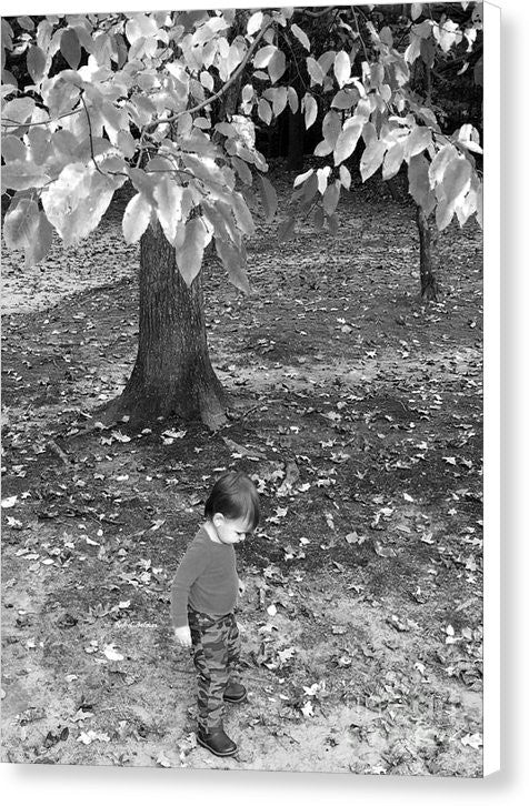 Impression sur toile - Ma première promenade dans les bois - Noir et blanc