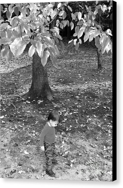 Impression sur toile - Ma première promenade dans les bois - Noir et blanc