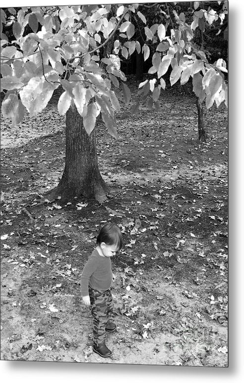 Metal Print - My First Walk In The Woods - Black And White