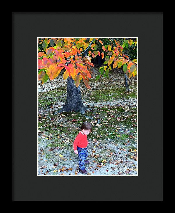 Framed Print - My First Walk In The Woods