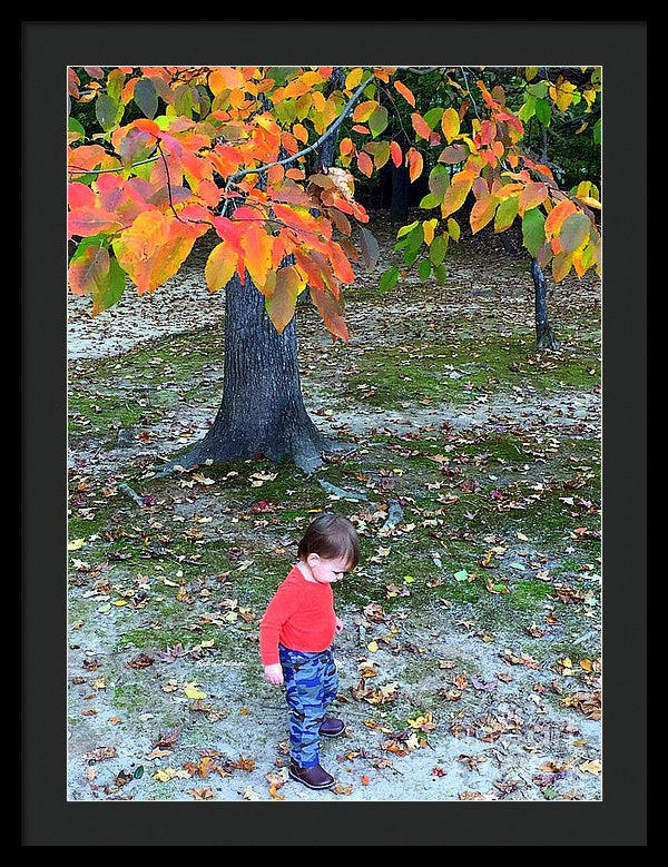 Framed Print - My First Walk In The Woods