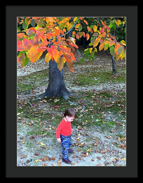 Framed Print - My First Walk In The Woods