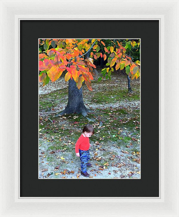 Framed Print - My First Walk In The Woods