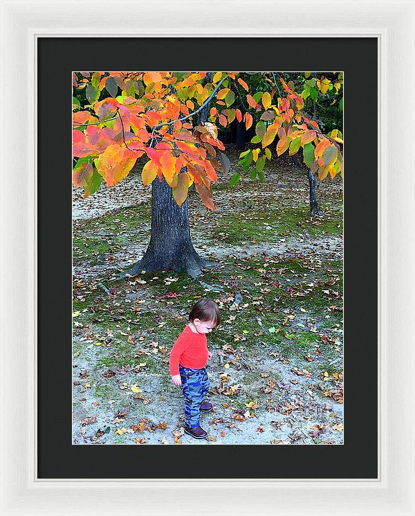 Framed Print - My First Walk In The Woods