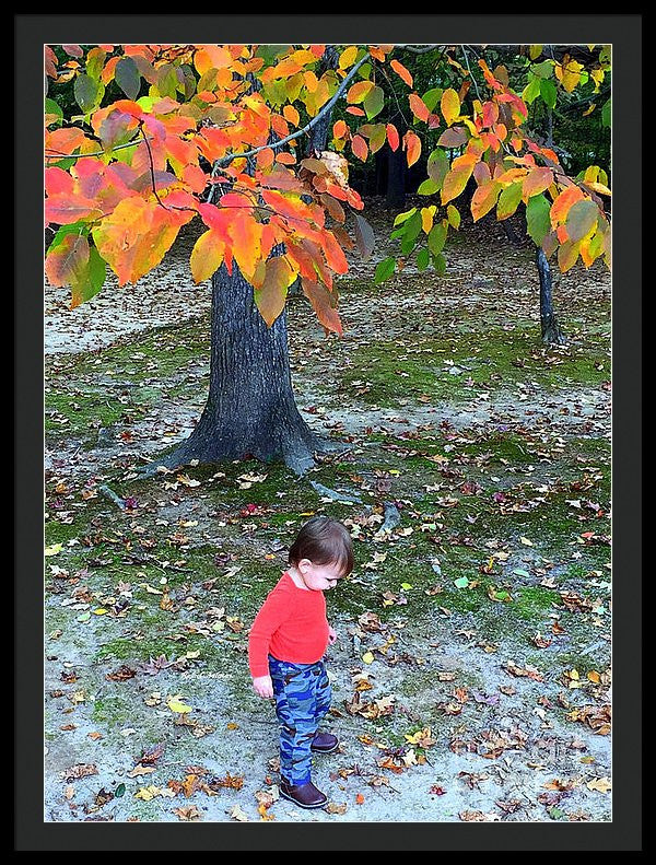 Framed Print - My First Walk In The Woods