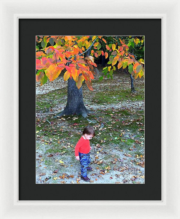 Framed Print - My First Walk In The Woods