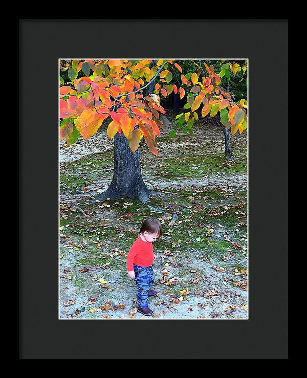 Framed Print - My First Walk In The Woods