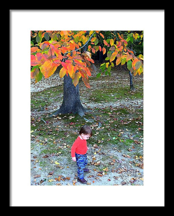 Framed Print - My First Walk In The Woods