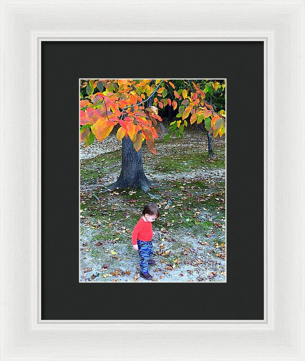 Framed Print - My First Walk In The Woods