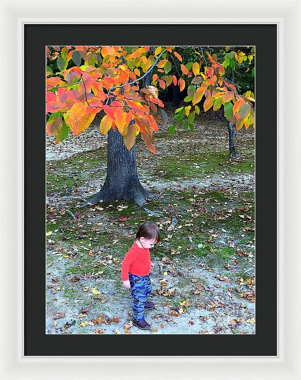 Framed Print - My First Walk In The Woods