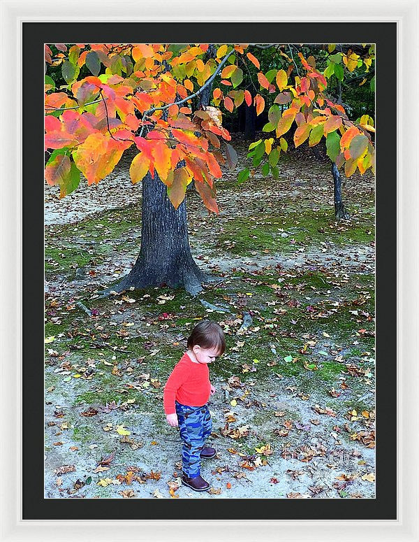 Framed Print - My First Walk In The Woods