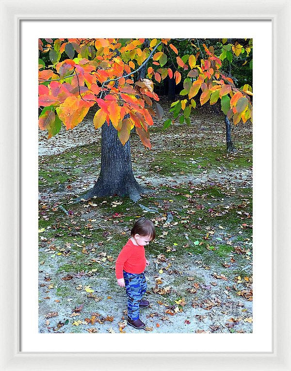 Framed Print - My First Walk In The Woods