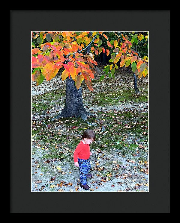 Framed Print - My First Walk In The Woods