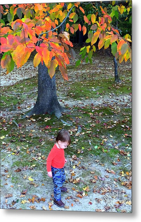 Metal Print - My First Walk In The Woods