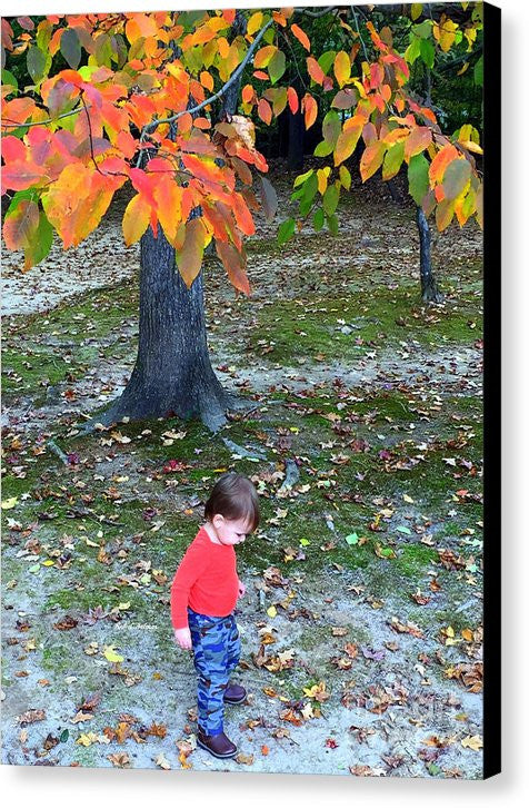 Canvas Print - My First Walk In The Woods