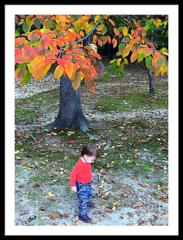 Framed Print - My First Walk In The Woods