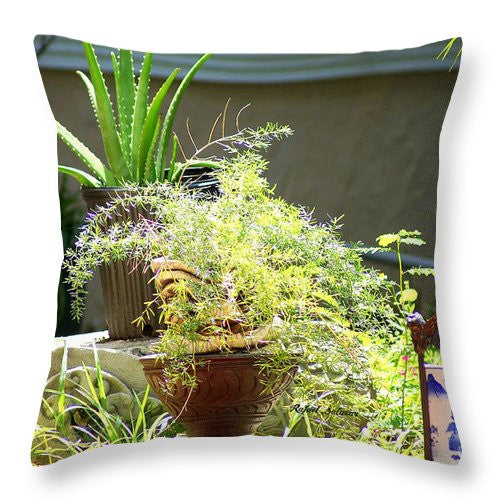 Throw Pillow - Oriental Garden