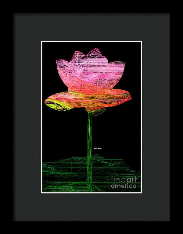 Framed Print - Pink Flower