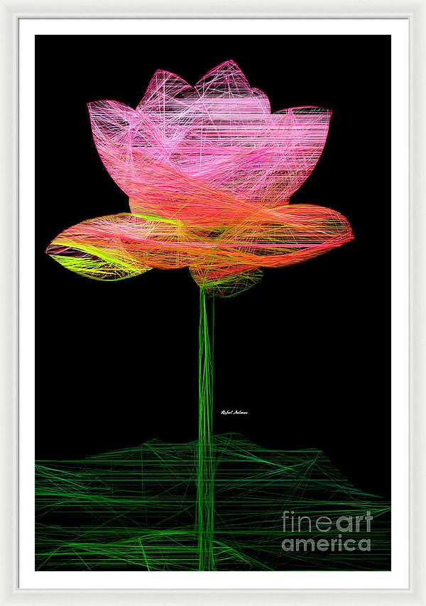 Framed Print - Pink Flower