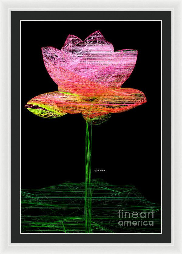 Framed Print - Pink Flower