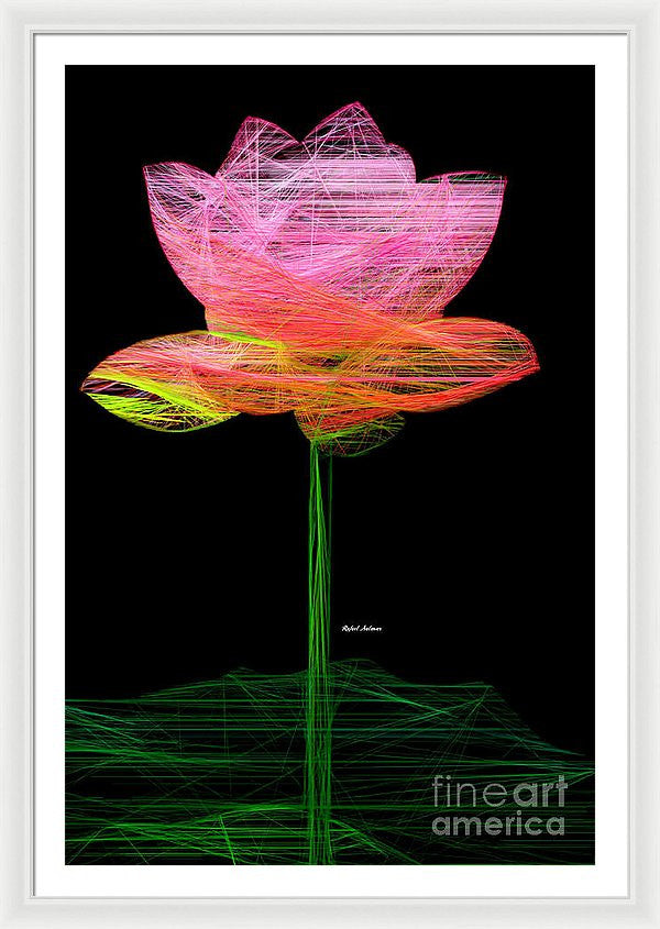 Framed Print - Pink Flower