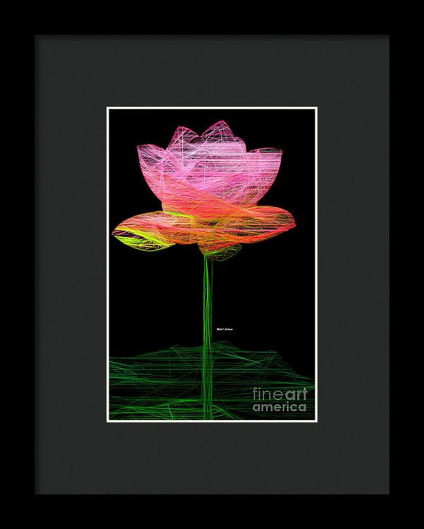 Framed Print - Pink Flower