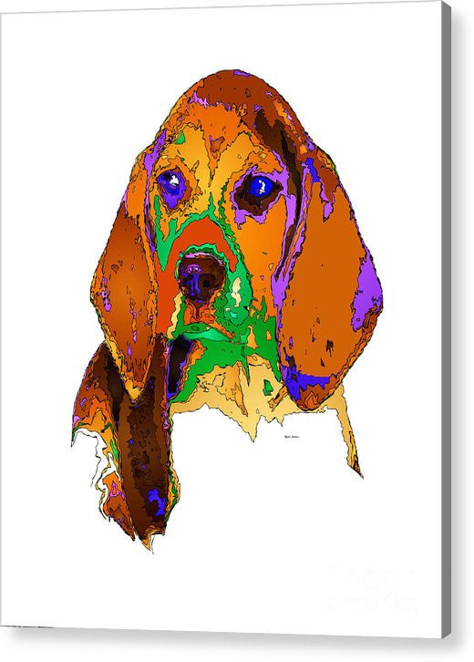 Acrylic Print - Pookie. Pet Series