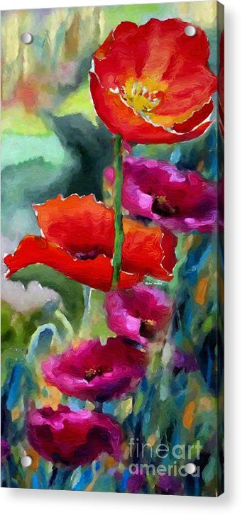 Acrylic Print - Poppies In Watercolor