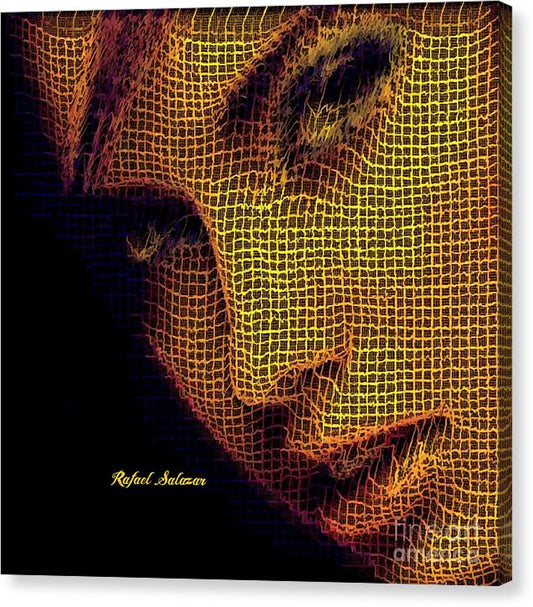 Portrait In Mesh - Canvas Print