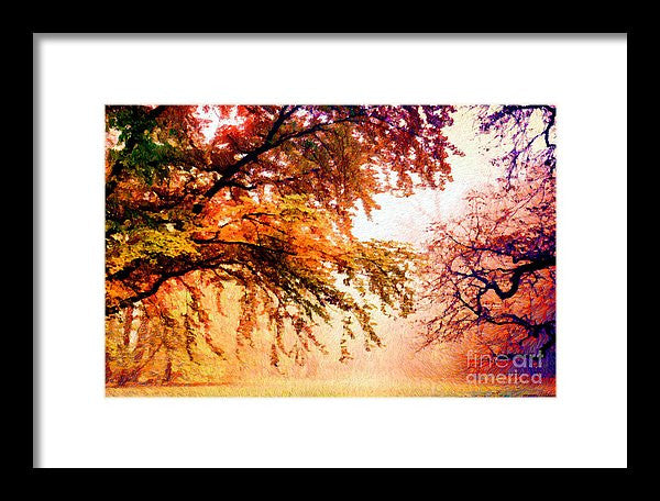 Framed Print - Promise Of A Brighter Future