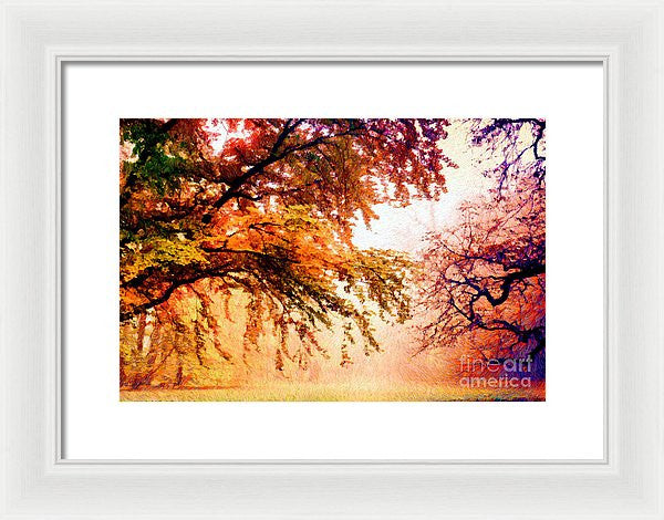 Framed Print - Promise Of A Brighter Future