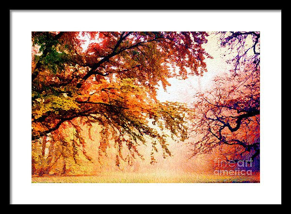 Framed Print - Promise Of A Brighter Future