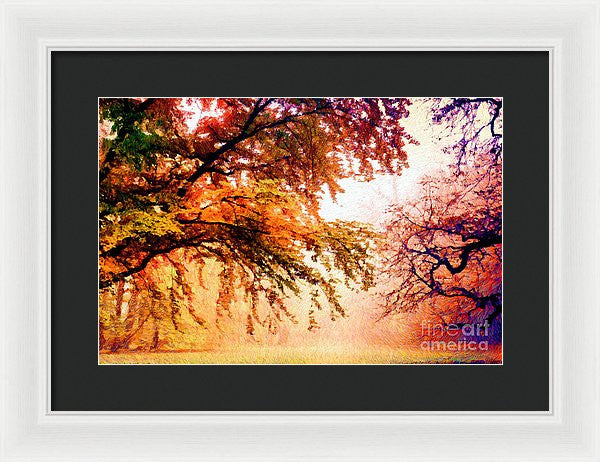 Framed Print - Promise Of A Brighter Future