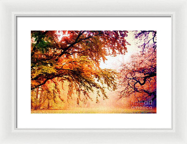 Framed Print - Promise Of A Brighter Future