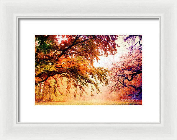 Framed Print - Promise Of A Brighter Future